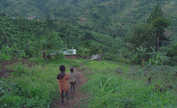 صبيان يسيران إلى المنزل على طريق عشبي.