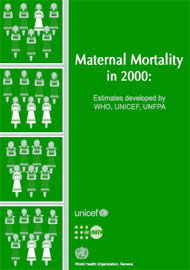 Maternal Mortality in 2000: