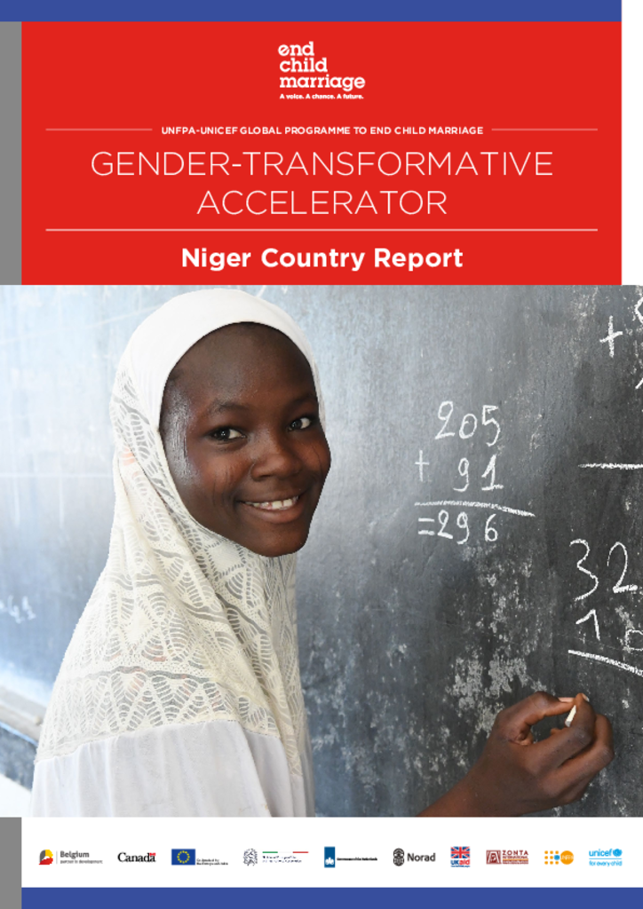 Gender-Transformative Accelerator - Niger Country Report