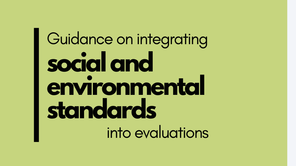 Guidance on integrating social and environmental standards into evaluations