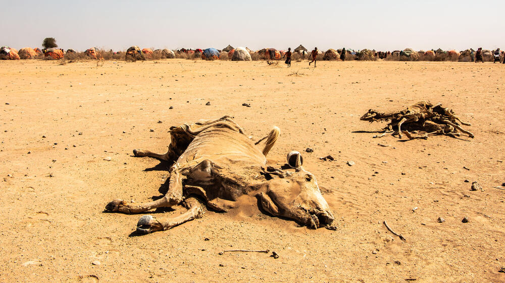 La peor sequía en Etiopía en 40 años amenaza con deshacer el progreso en materia de salud materna y neonatal