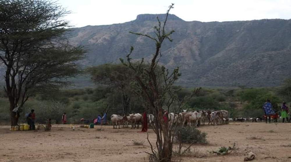 Drought in Kenya proves a setback to eliminating female genital mutilation 
