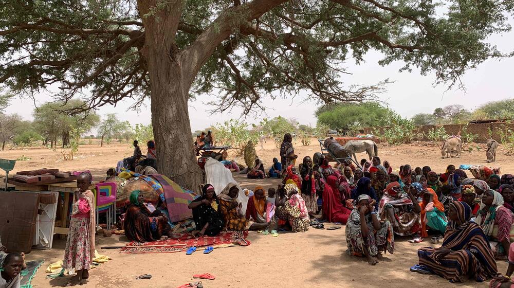A group of displaced people sit under a tree.