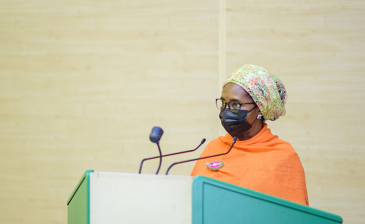 Nigeria's Minister of Finance addressing a meeting
