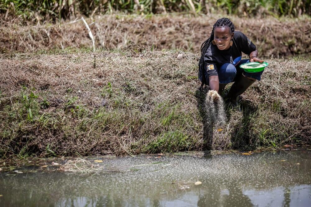 Woman feeding fish at pond