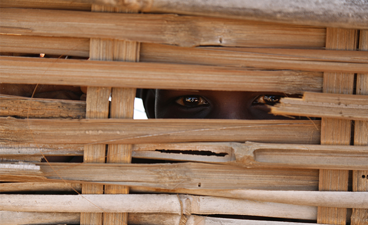 Child peering through wooden frames of a house.