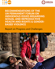 Recommendations of the UN Permanent Forum on Indigenous Issues Regarding Sexual…