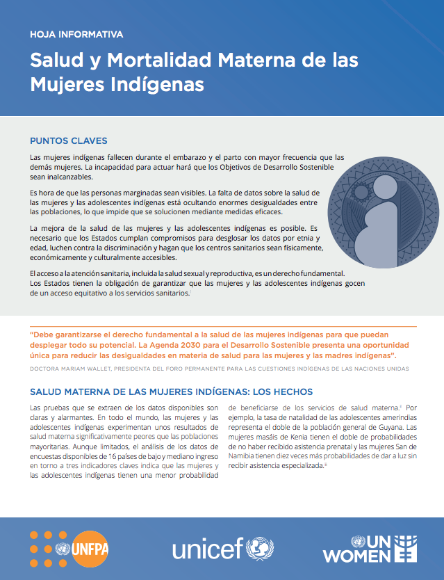 Salud y mortalidad materna de las mujeres indígenas