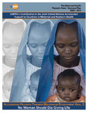 The Maternal Health Thematic Fund - Business Plan 2008-2011