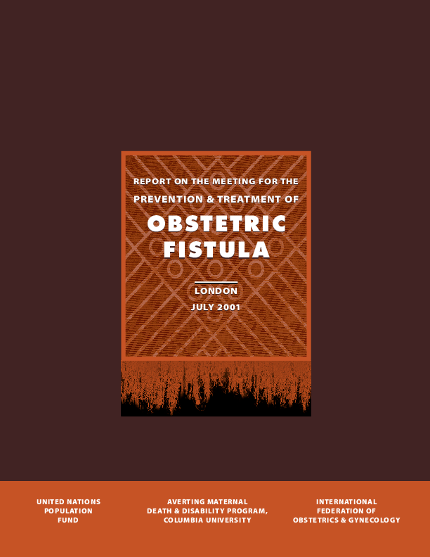 Report on the Meeting for the Prevention & Treatment of Obstetric Fistula