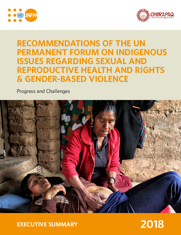 Executive Summary: Recommendations of the UN Permanent Forum on Indigenous Issues Regarding SRH&R and GBV 