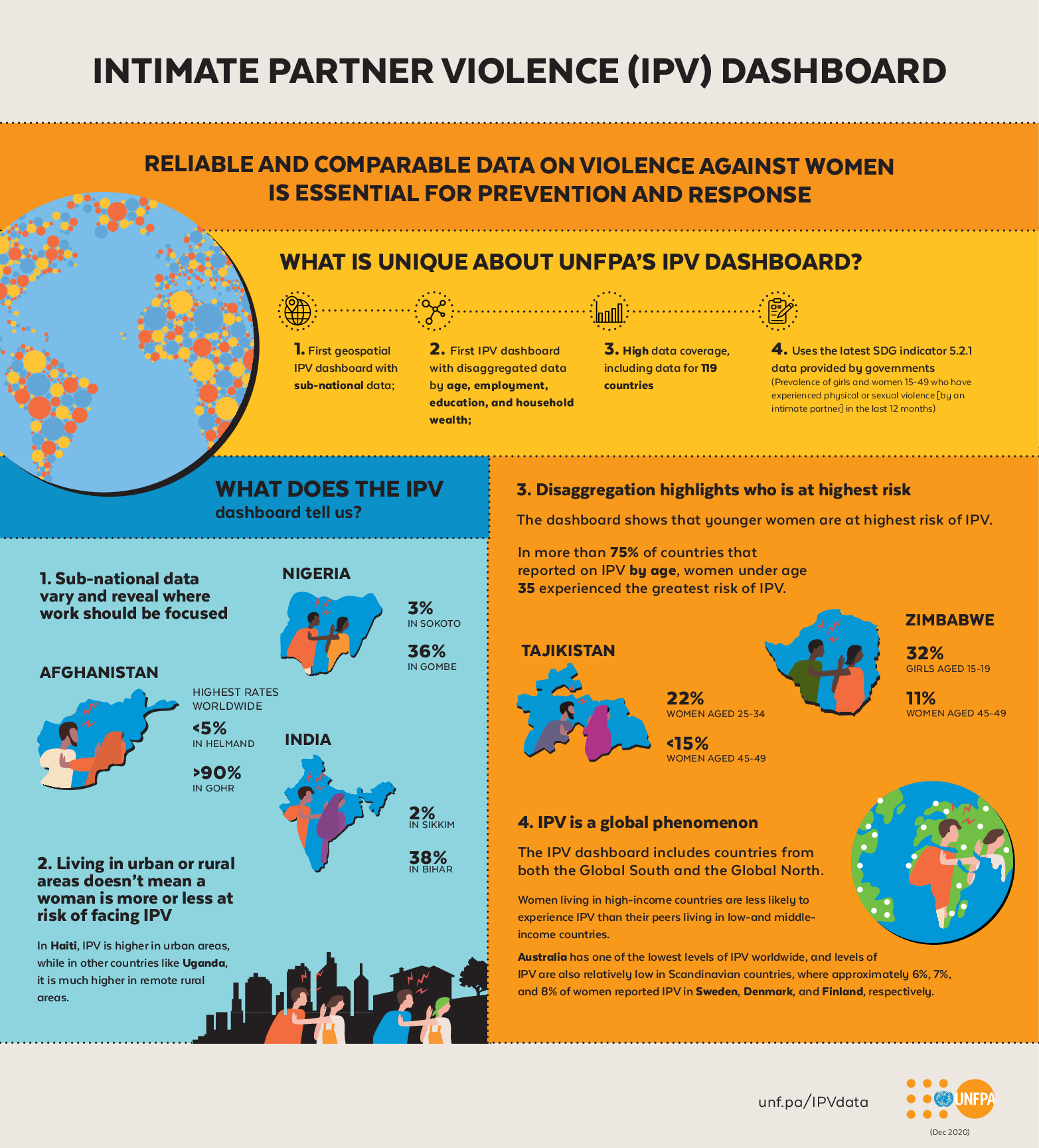 Intimate Partner Violence (IPV) Dashboard Infographic
