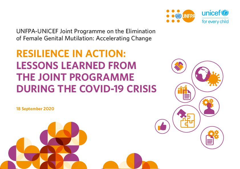Resilience In Action: Lessons Learned From The Joint Programme During The Covid-19 Crisis 