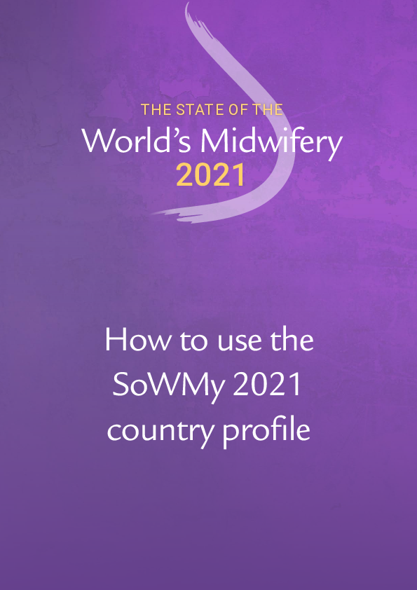 How to use the SoWMy 2021 country profile