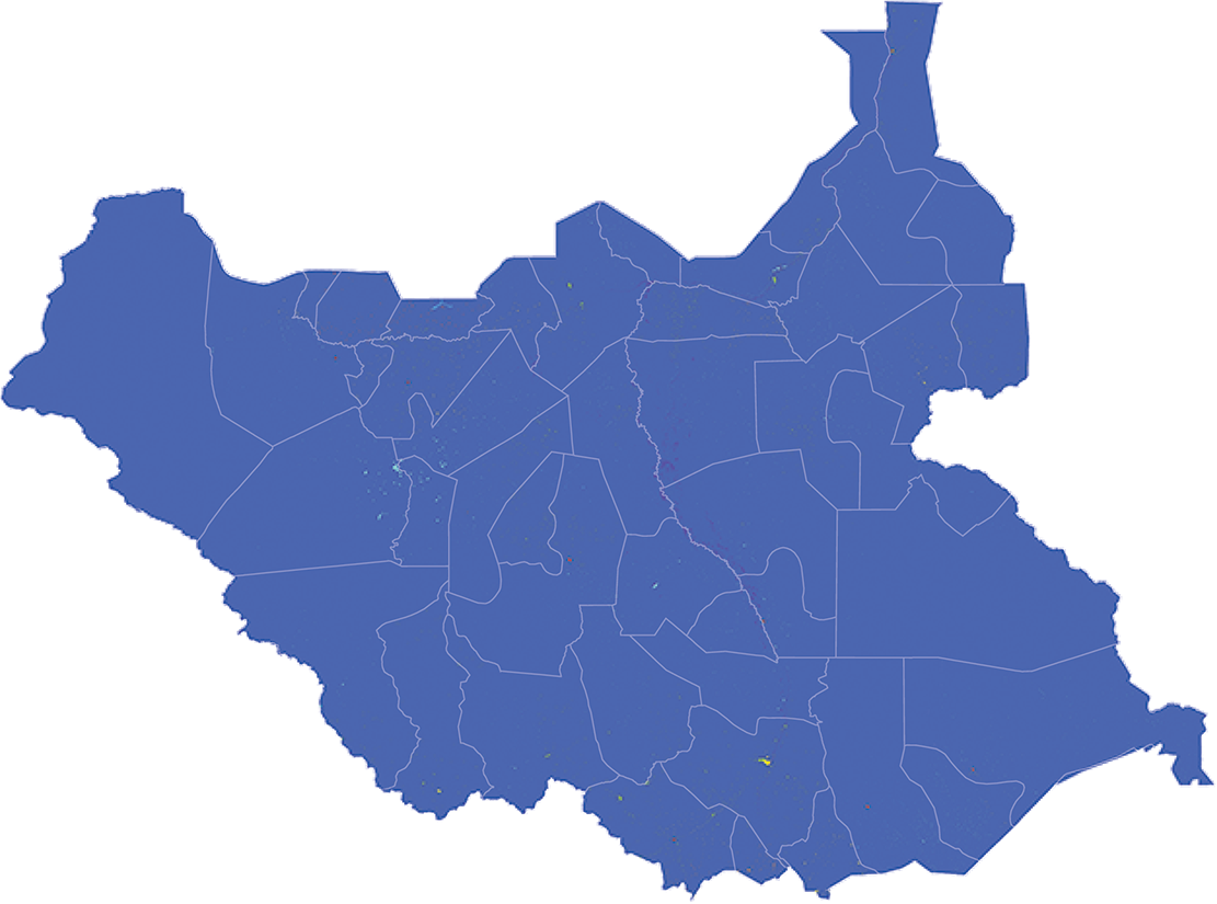 South Sudan - Number and distribution of pregnancies (2012)