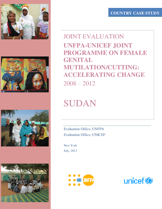Sudan Country Case Study Report