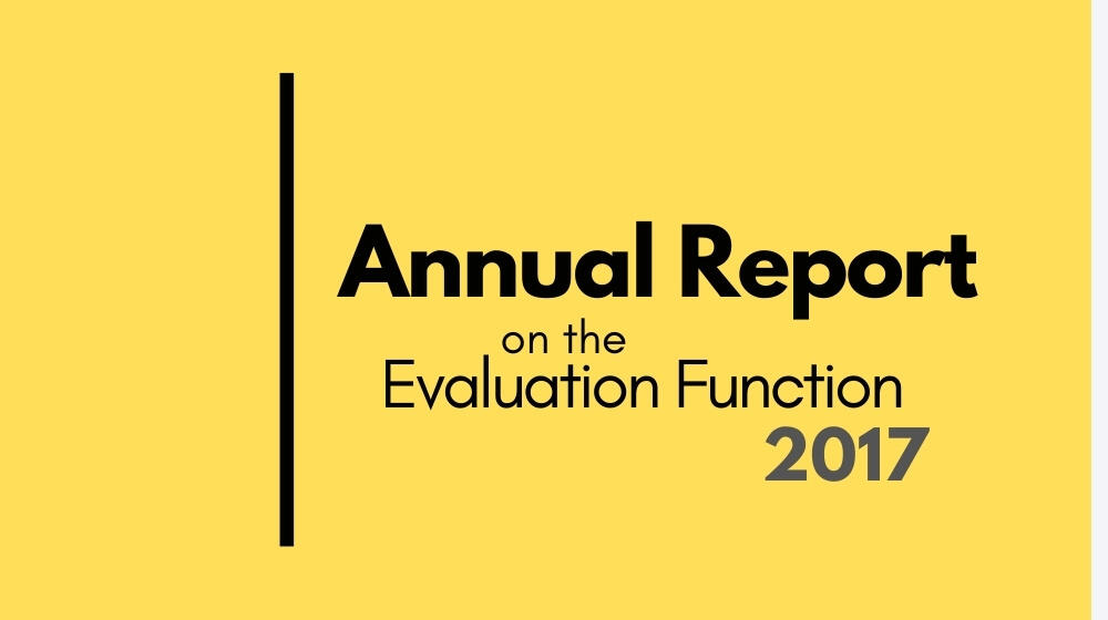 Annual report on the evaluation function 2017