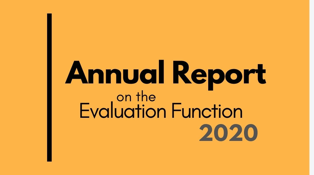Annual Report on the evaluation function 2020