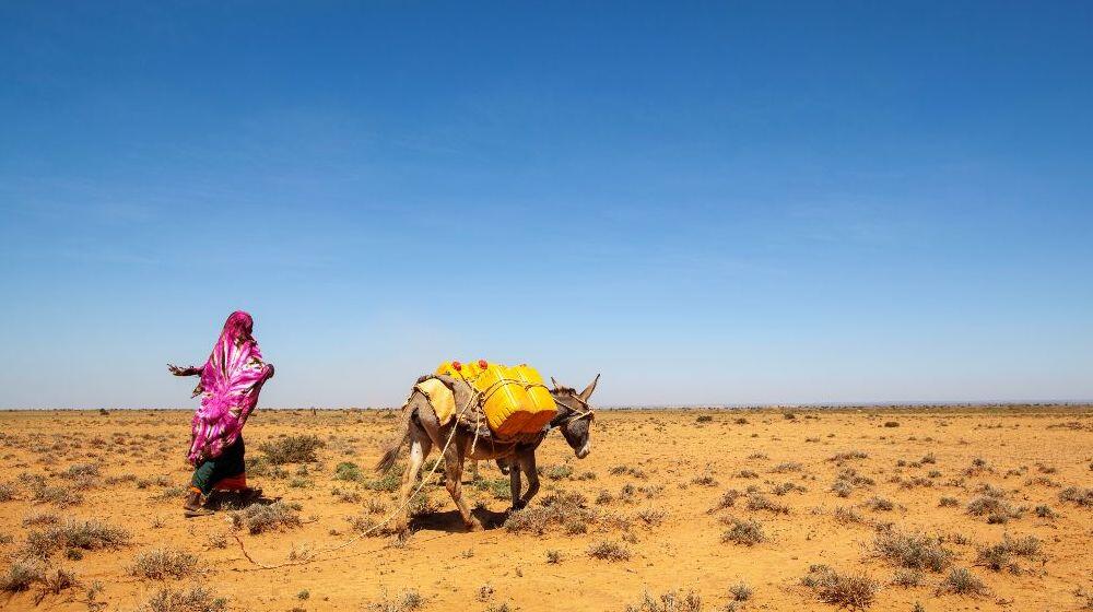  Drought in Somalia forces displacement, posing particular challenges for women and girls