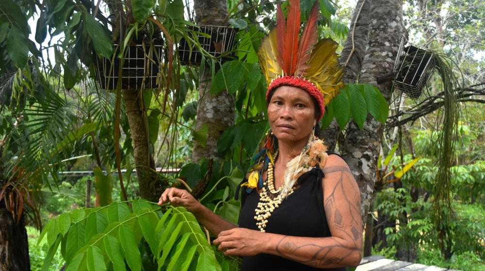 « Les hommes ne feront plus d’elles ce qu’ils veulent » : au Brésil, les femmes autochtones disent stop à la violence basée sur le genre