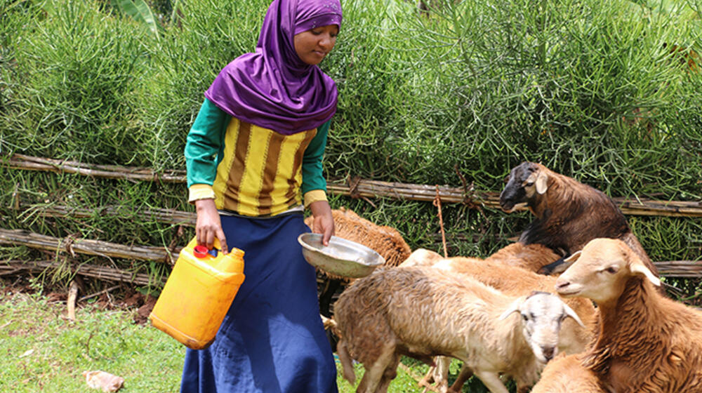 Salia, now 18, tends to animals to provide for herself and her family. Just two years ago, Salia thought she would be a child bride. © UNFPA Ethiopia/Abraham Gelaw