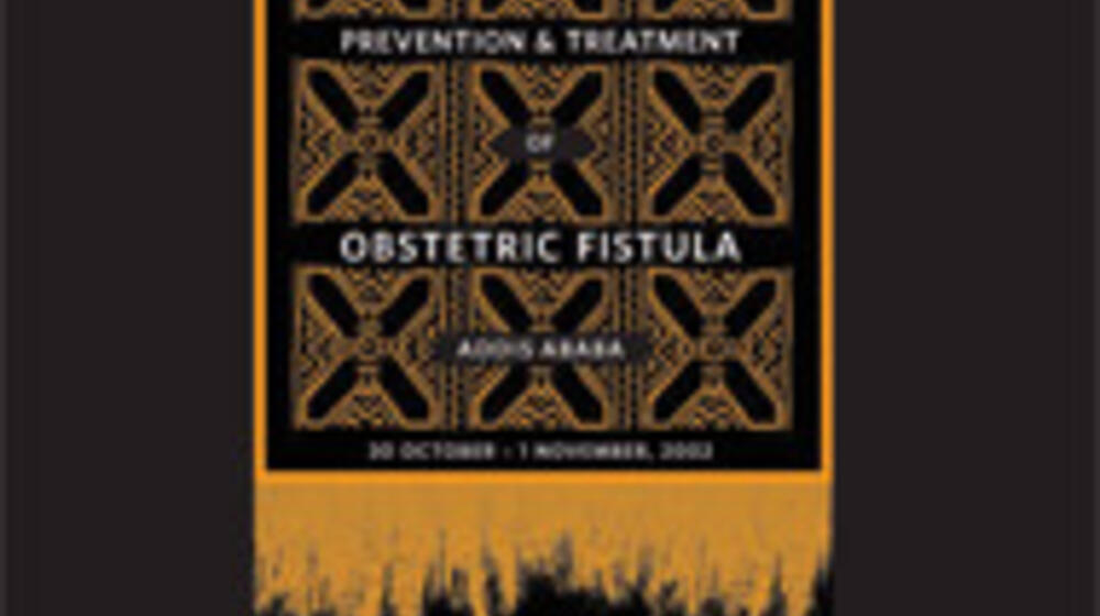 Second Meeting of the Working Group for the Prevention and Treatment of Obstetric Fistula