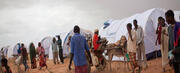 Dadaab Population Swells as Hungry and Weary Families Arrive from Somalia