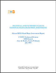 Maternal and Newborn Health National Plans (Road Map) Assessment
