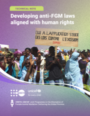 Technical Note: Developing Anti-FGM Laws Aligned with Human Rights