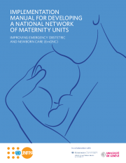  Implementation Manual for Developing a National Network of Maternity Units
