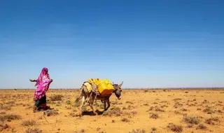 La sequía en Somalia fuerza el desplazamiento, lo que plantea...